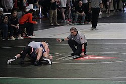IMG_1678.JPG