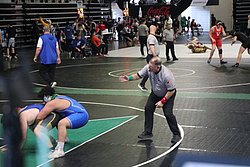 IMG_1690.JPG