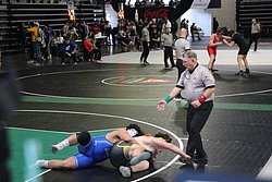 IMG_1695.JPG