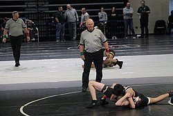 IMG_1729.JPG