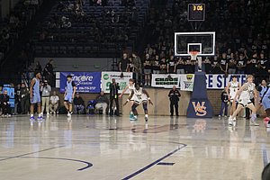 IMG_4654.JPG