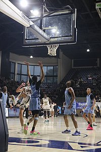 IMG_4769.JPG