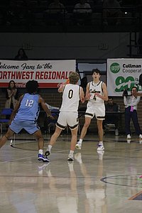 IMG_5029.JPG