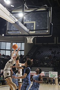 IMG_5169.JPG