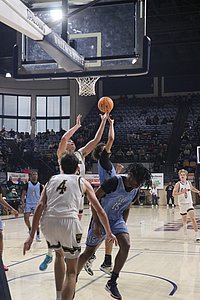 IMG_5242.JPG