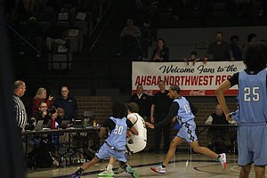 IMG_5336.JPG