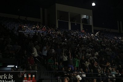 IMG_4379.JPG